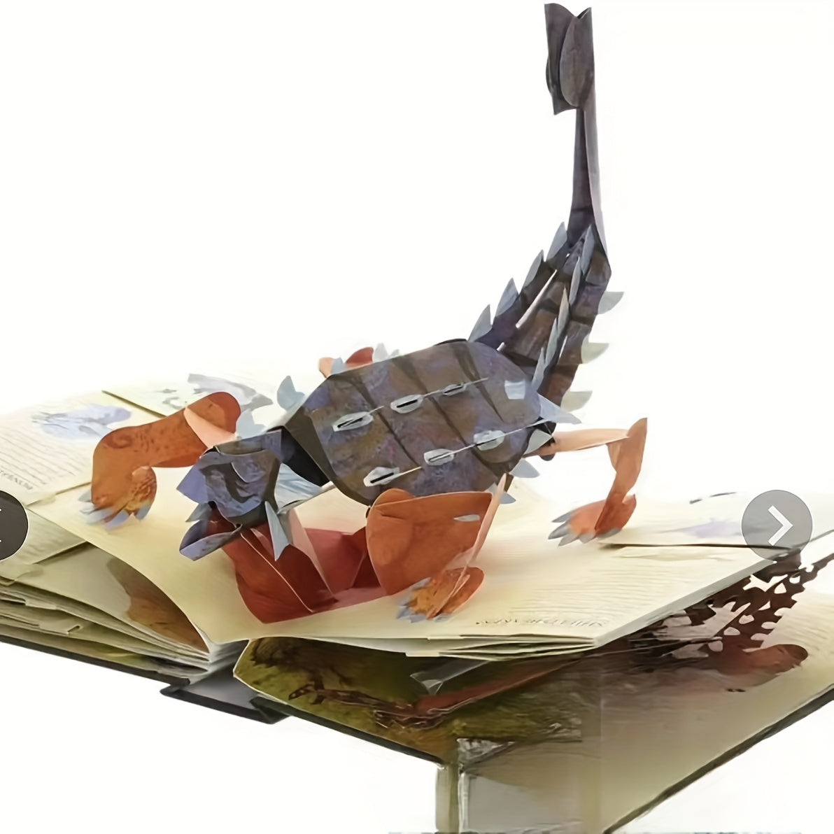 Fidtoy Enciclopedia interactiva desplegable de dinosaurios 3D para niños pequeños y niños