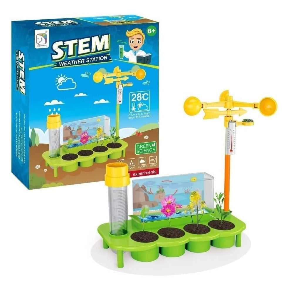 Fidtoy Green STEM Weather Station Experiment Kit for Kids Ages 8-14, Outdoor Weather Science Toy with Wind Vane, Anemometer, Thermometer and Rain Gauge
