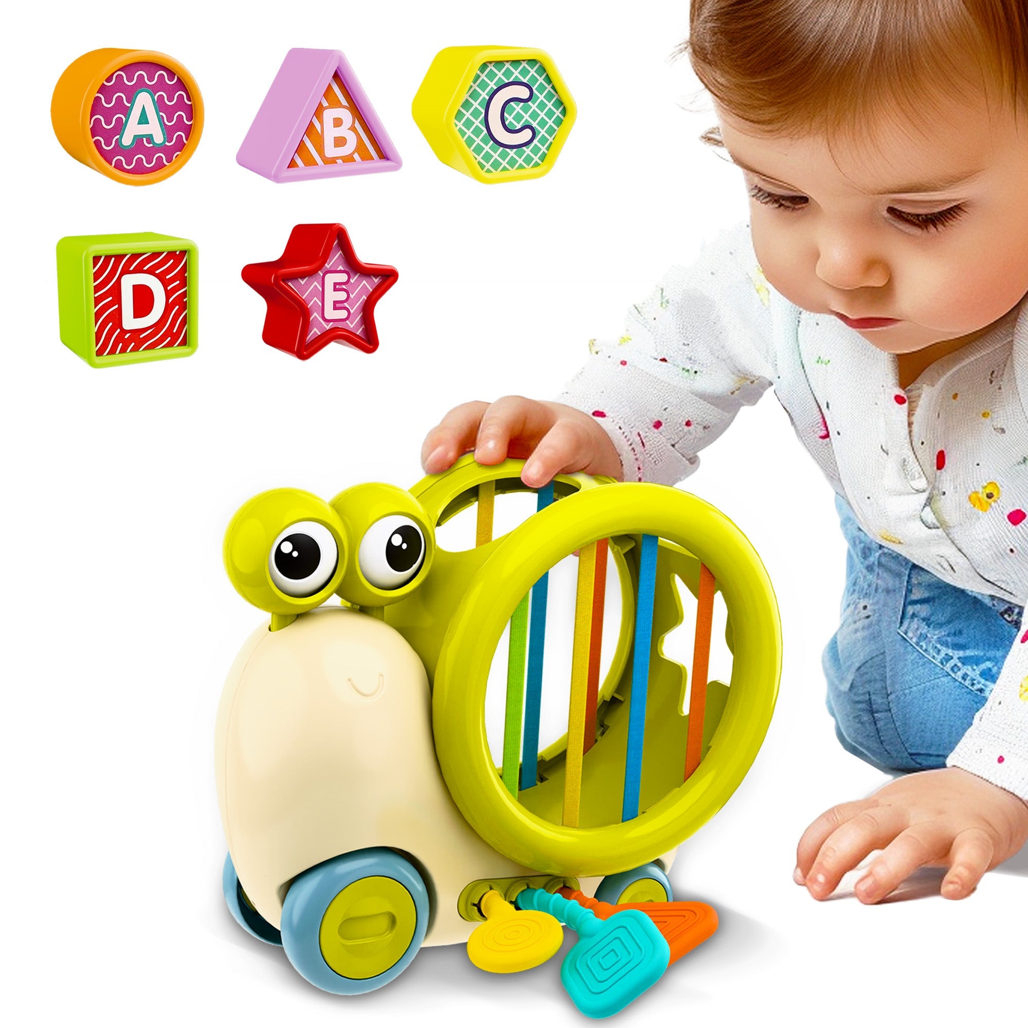 Fidtoy Snail Shape Sorter Push Toy for Babies and Toddlers