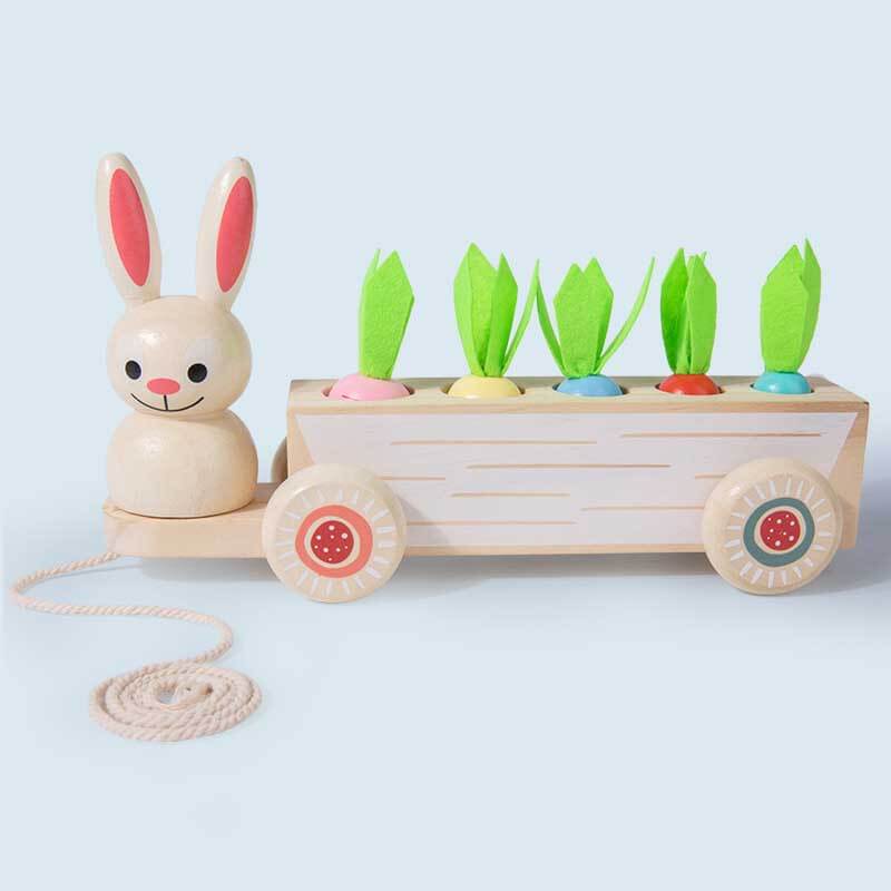 Fidtoy Animal Carrot Matching Montessori Toy | Toddler Fine Motor & Color Recognition Learning Toy