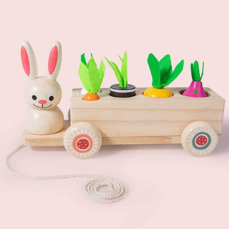 Fidtoy Animal Carrot Matching Montessori Toy | Toddler Fine Motor & Color Recognition Learning Toy