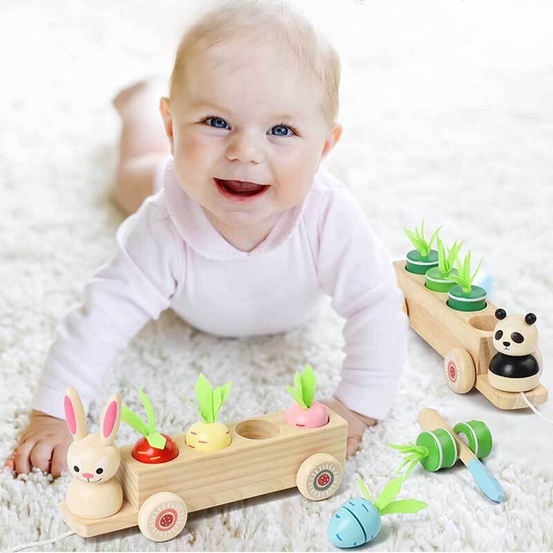 Fidtoy Animal Carrot Matching Montessori Toy | Toddler Fine Motor & Color Recognition Learning Toy