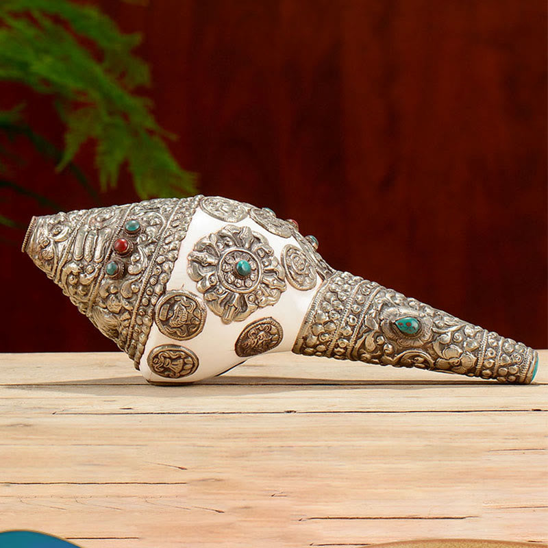 Buddha Stones Tibetan Natural Shankha Conch Shell Seashell Wealth Lucky Home Decoration Decorations BS 9