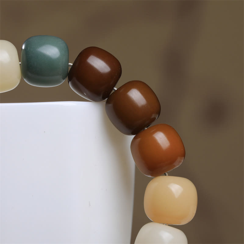 Buddha Stones Multicolored Bodhi Seed Keep Away Evil Spirits Bracelet Bracelet BS 5