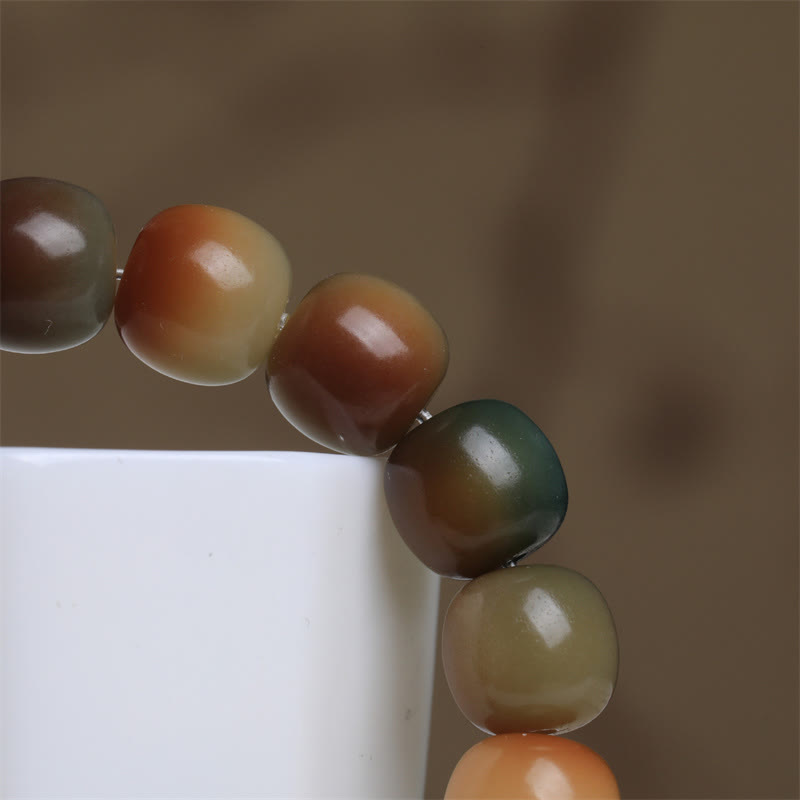 Buddha Stones Colorful Bodhi Seed Peace Wisdom Bracelet Bracelet BS 5