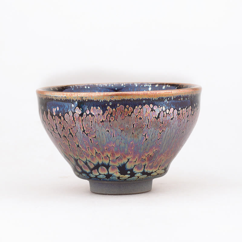 Buddha Stones Handmade Succulent Plant Pattern Chinese Jianzhan Ceramic Teacup Tenmoku Kung Fu Tea Cup Jian Zhan Tea Cup BS 3