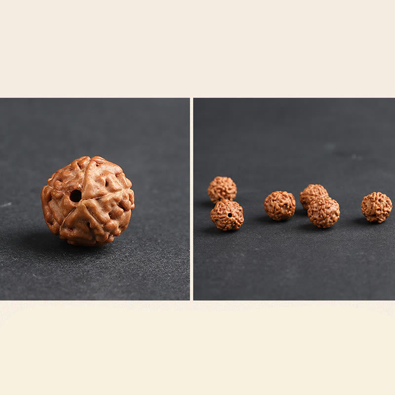 Buddha Stones Tibet Rudraksha Bodhi Seed PiXiu Copper Coin Wealth Luck Bracelet Bracelet BS 12