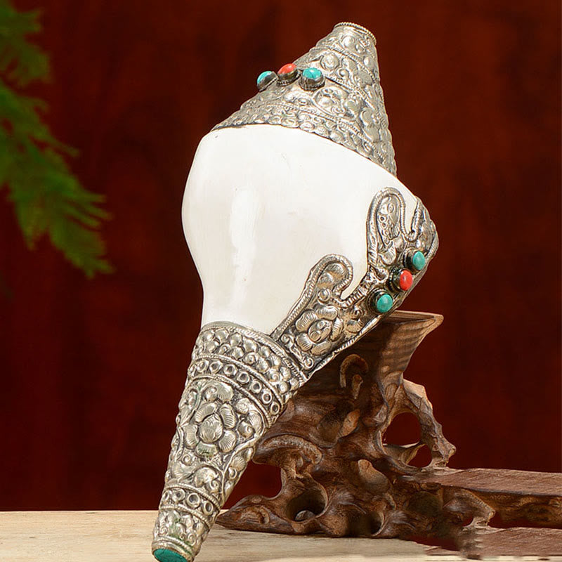Buddha Stones Tibetan Natural Shankha Conch Shell Seashell Wealth Lucky Home Decoration Decorations BS 14