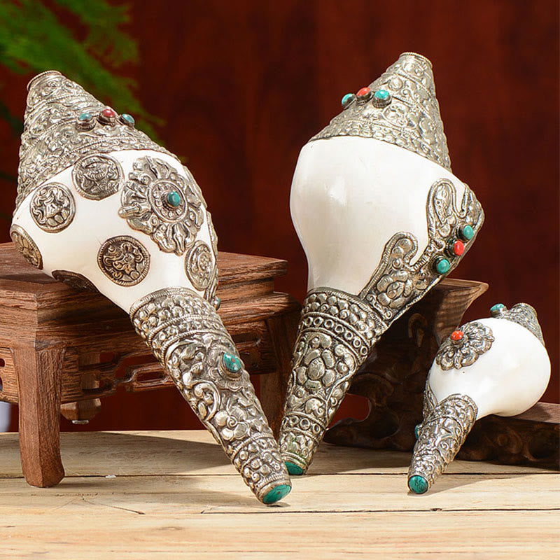 Buddha Stones Tibetan Natural Shankha Conch Shell Seashell Wealth Lucky Home Decoration Decorations BS main