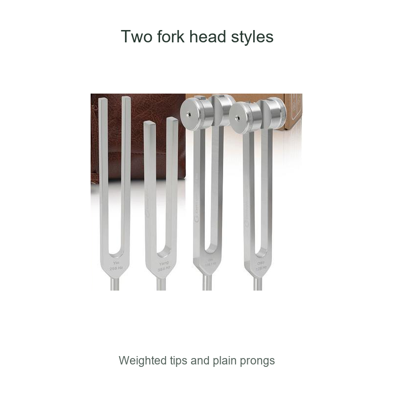 Close view of weighted fork tips and plain tuning fork prongs