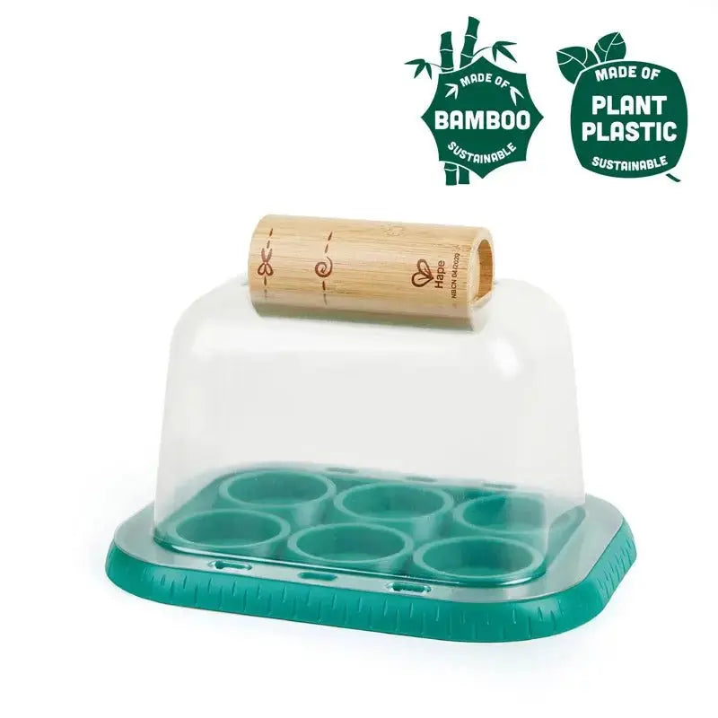 Fidtoy Kit científico de invernadero de bricolaje para cultivar plantas para niños