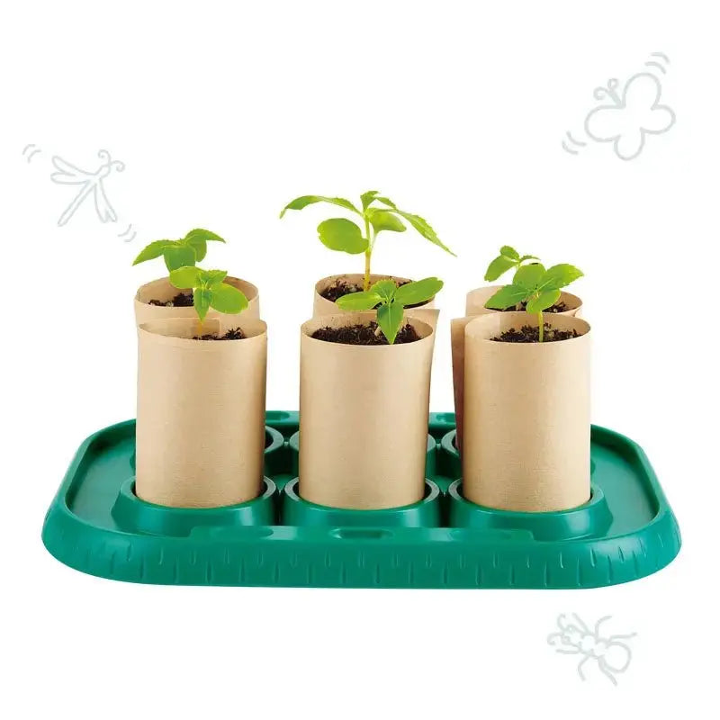 Fidtoy Kit científico de invernadero de bricolaje para cultivar plantas para niños
