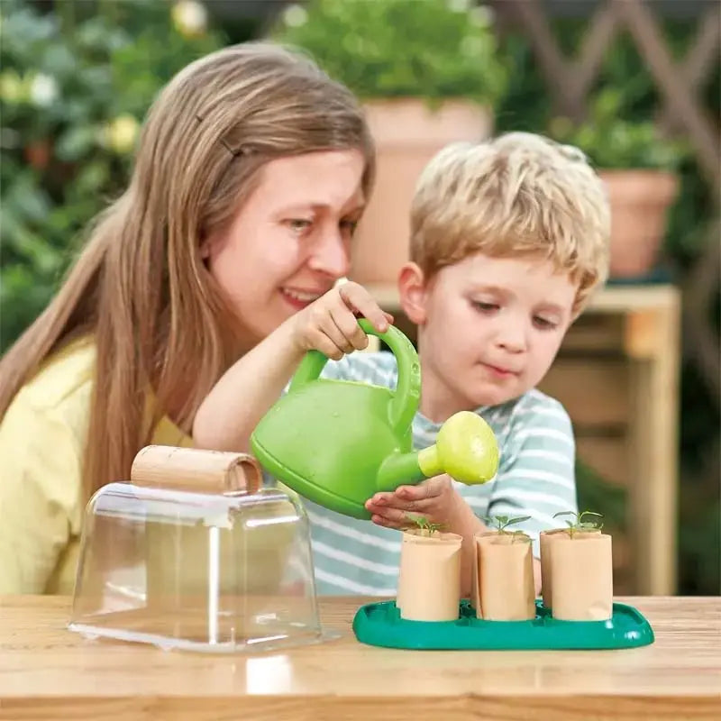 Fidtoy Kit científico de invernadero de bricolaje para cultivar plantas para niños
