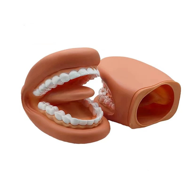 Marioneta de mano de boca grande con cepillo de dientes para aprender a cepillarse los dientes