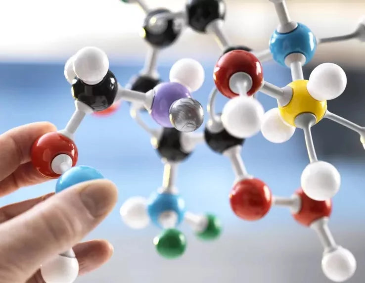 Fidtoy 259 Piece Molecular Chemistry Model Set for Students Organic Inorganic STEM Learning Kit Age 6+