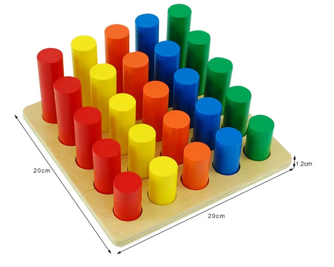 Puzzle de cylindres Montessori - Matériel sensoriel