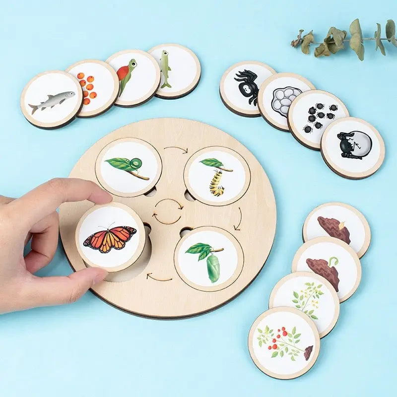 Fidtoy Nature Evolution Game – Montessori Wooden Life Cycle Board for Kids Ages 3-6