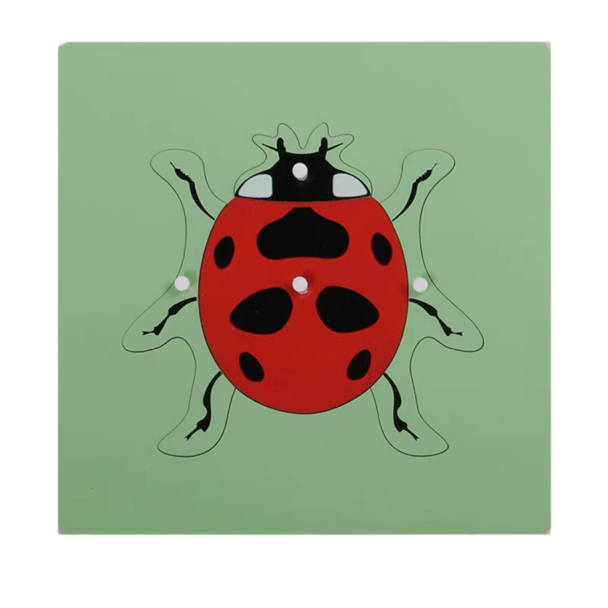 Puzzles d'animaux Montessori Tortue Oiseau Grenouille Cheval Poisson Coq Coccinelle Papillon Jouet éducatif en bois pour la maternelle et la petite enfance