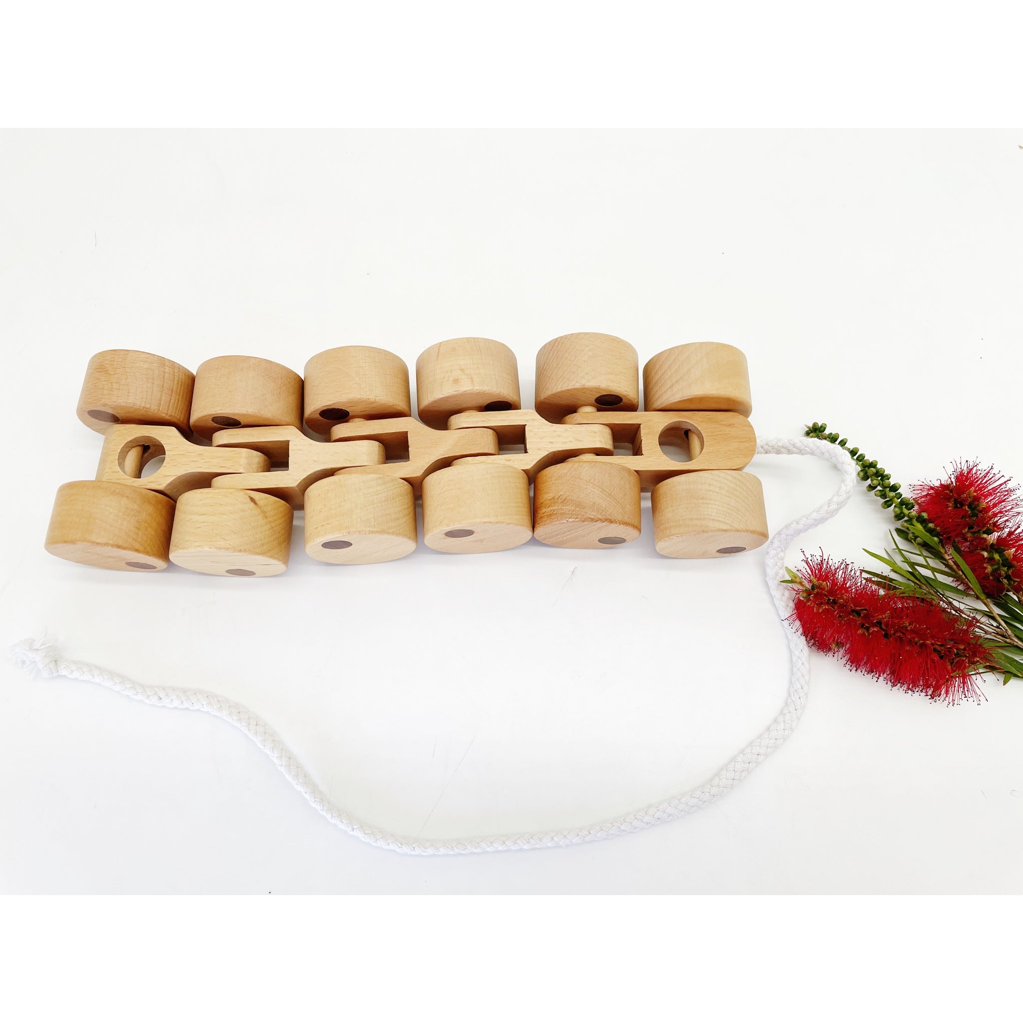 Quality Wooden Push and Pull Along Wheels Train Toy