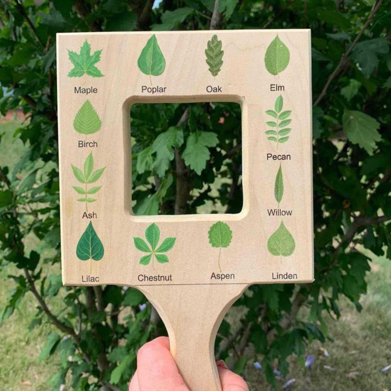 Fidtoy Montessori Guía de la Naturaleza para Niños Juguete de Aprendizaje al Aire Libre