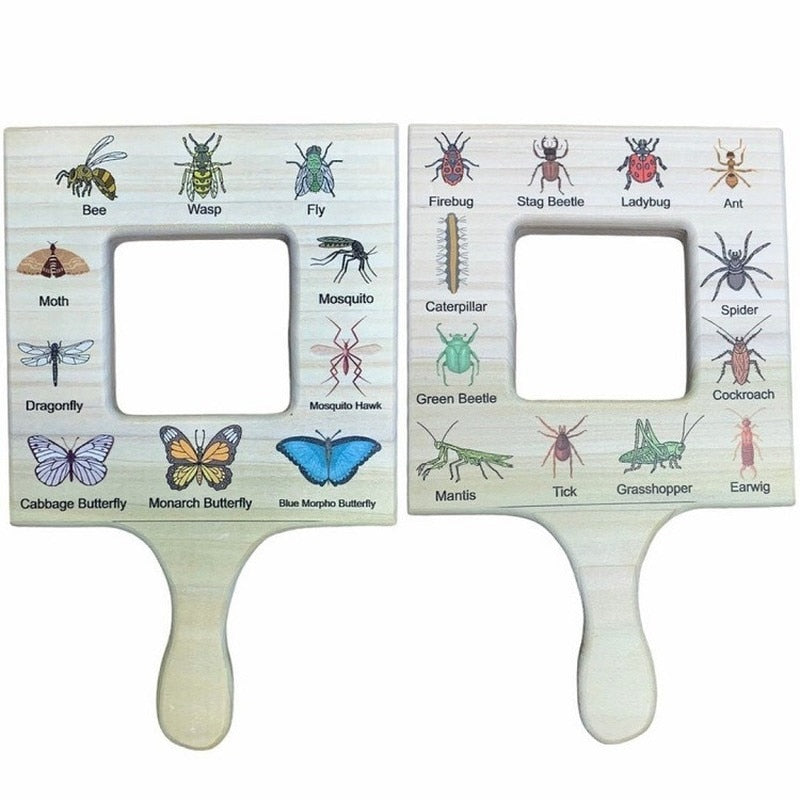 Fidtoy Montessori Guía de la Naturaleza para Niños Juguete de Aprendizaje al Aire Libre