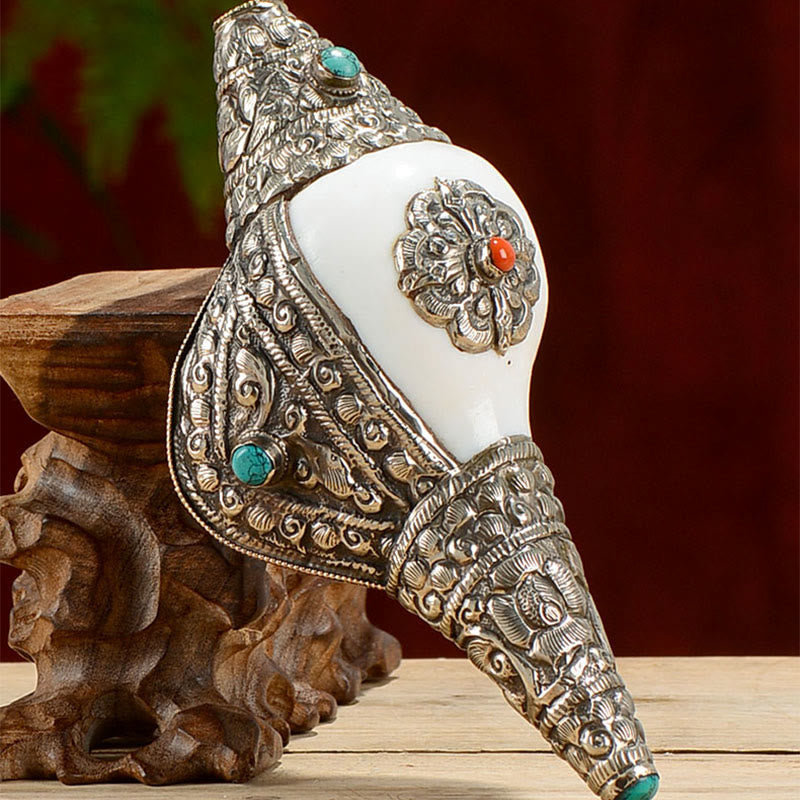 Buddha Stones Tibetan Natural Shankha Conch Shell Seashell Wealth Lucky Home Decoration Decorations BS 13