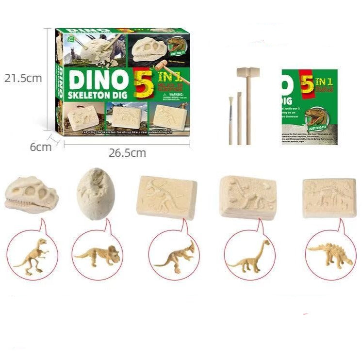 STEM Niños Kit de excavación Tesoro Pirata / Excavación de esqueleto de dinosaurio 5 en 1 - Juguetes de motricidad fina