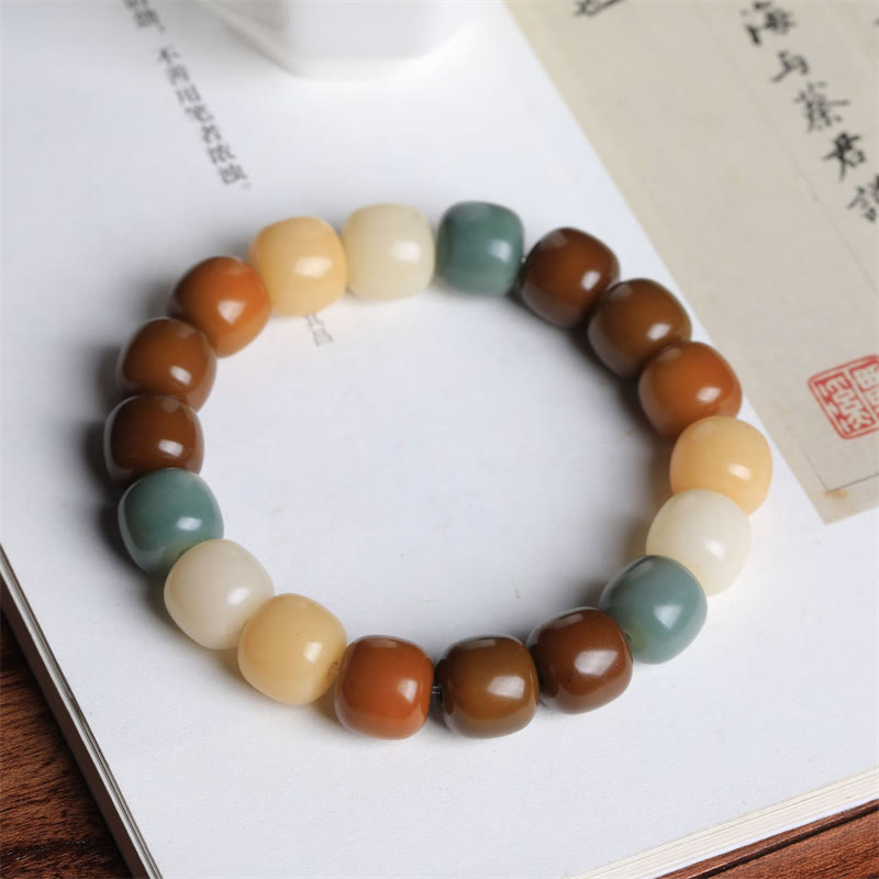 Buddha Stones Multicolored Bodhi Seed Keep Away Evil Spirits Bracelet Bracelet BS 2