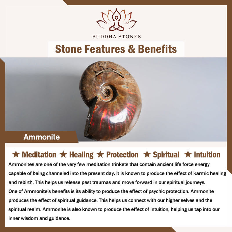 Buddha Stones Natural Ammonite Fossil Snail Pattern Meditation Healing Necklace Pendant Necklaces & Pendants BS 8