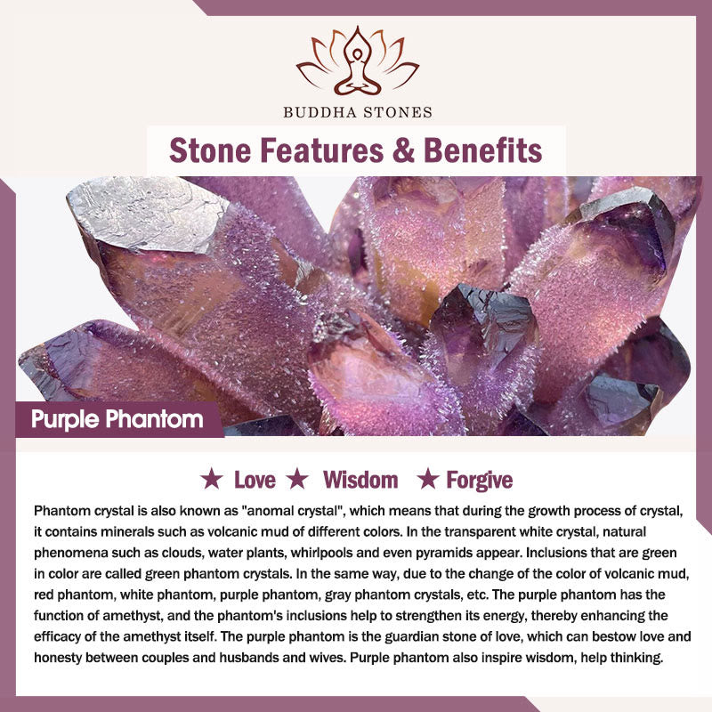 Buddha Stones Purple Phantom Purple Jade Scripture Citrine Love Wisdom Bracelet Bangle Bracelet Bangle BS 8