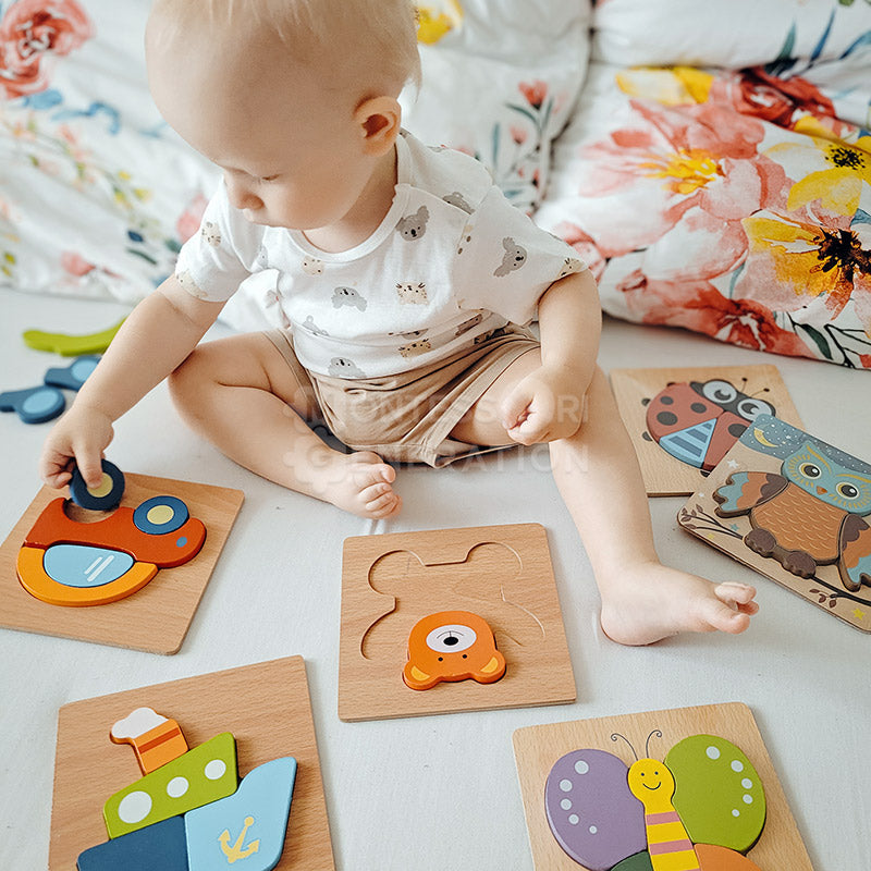 Juego de rompecabezas de madera Fidtoy para niños pequeños – 6 rompecabezas educativos para niños de 2+ años