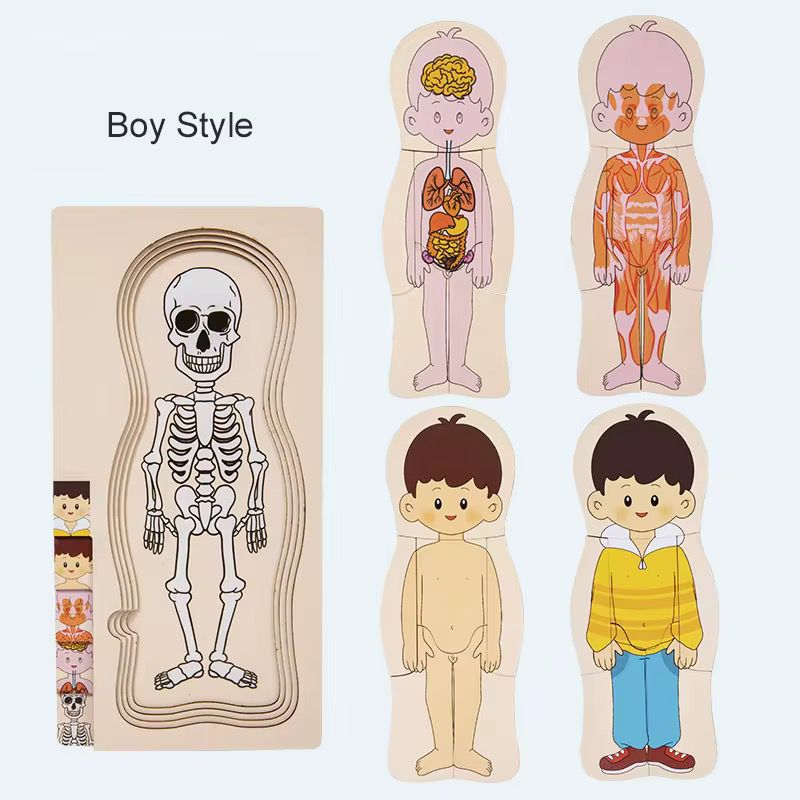 Rompecabezas de anatomía humana de madera multicapa - Juguete educativo de secuenciación de 5 capas