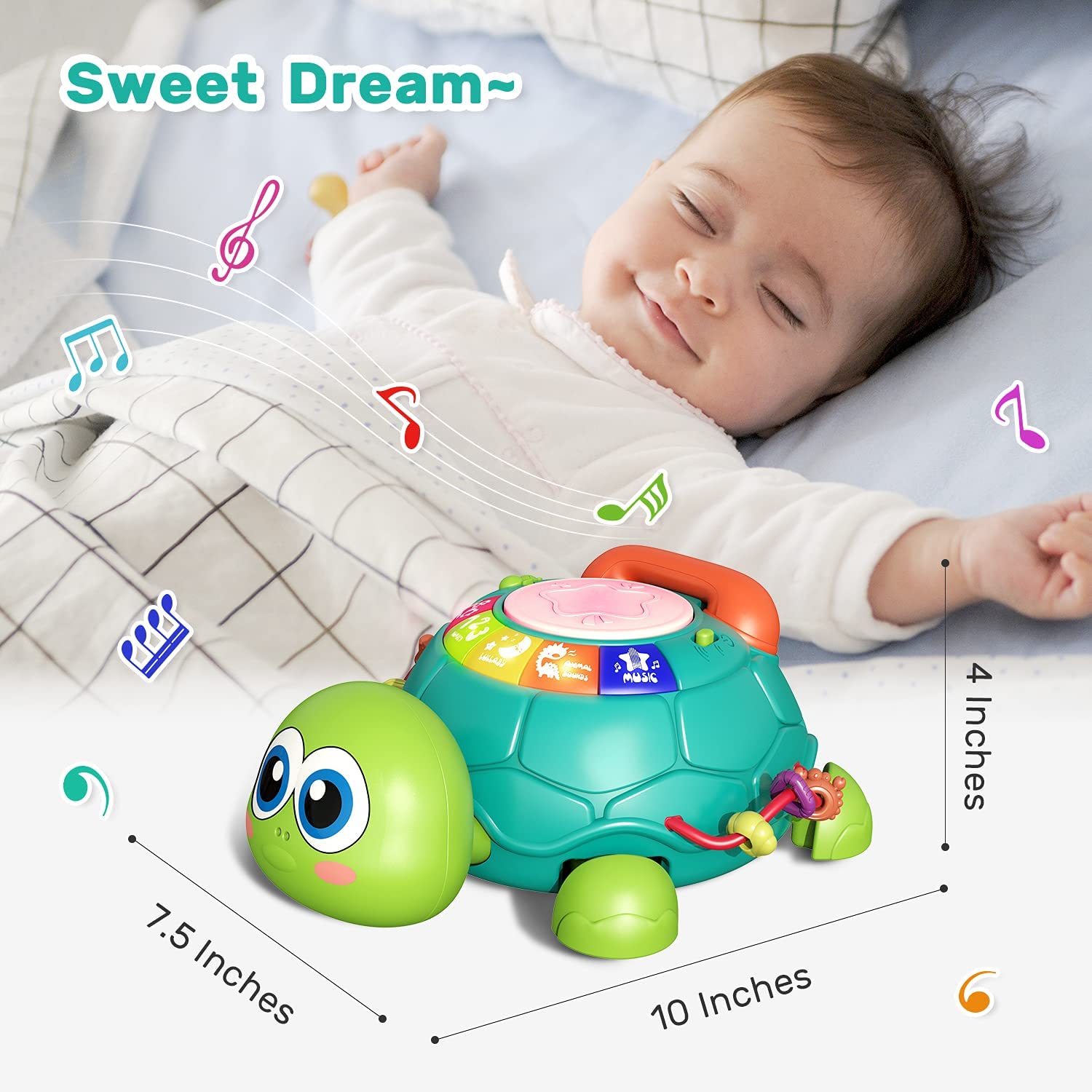 Fidtoy Crawling Turtle Musical Baby Toy