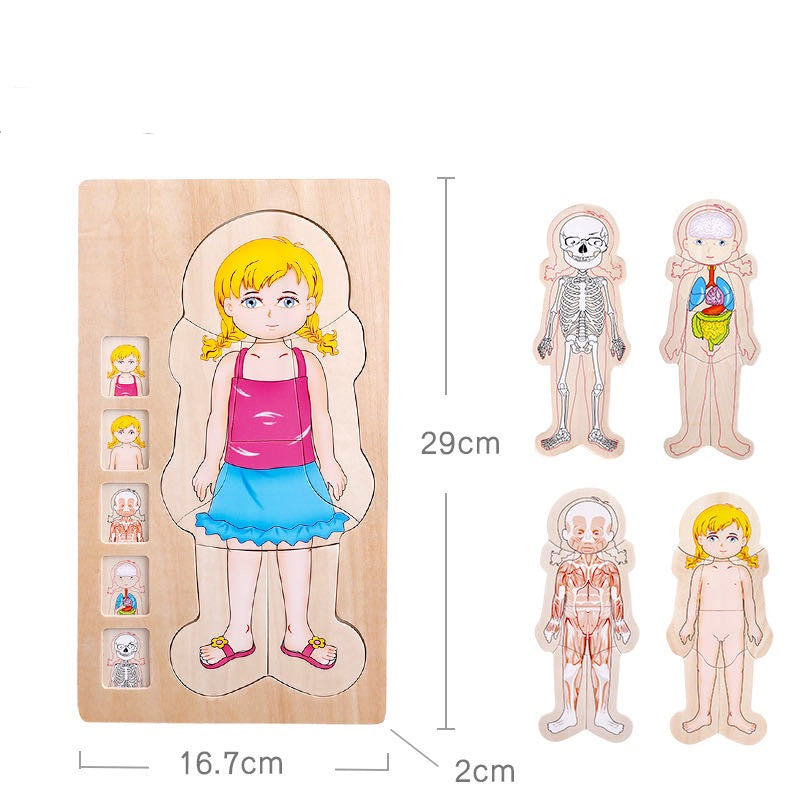 Onshine Puzle de anatomía 3D de madera - Juguetes de motricidad fina