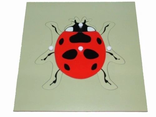 Puzzles d'animaux Montessori Tortue Oiseau Grenouille Cheval Poisson Coq Coccinelle Papillon Jouet éducatif en bois pour la maternelle et la petite enfance