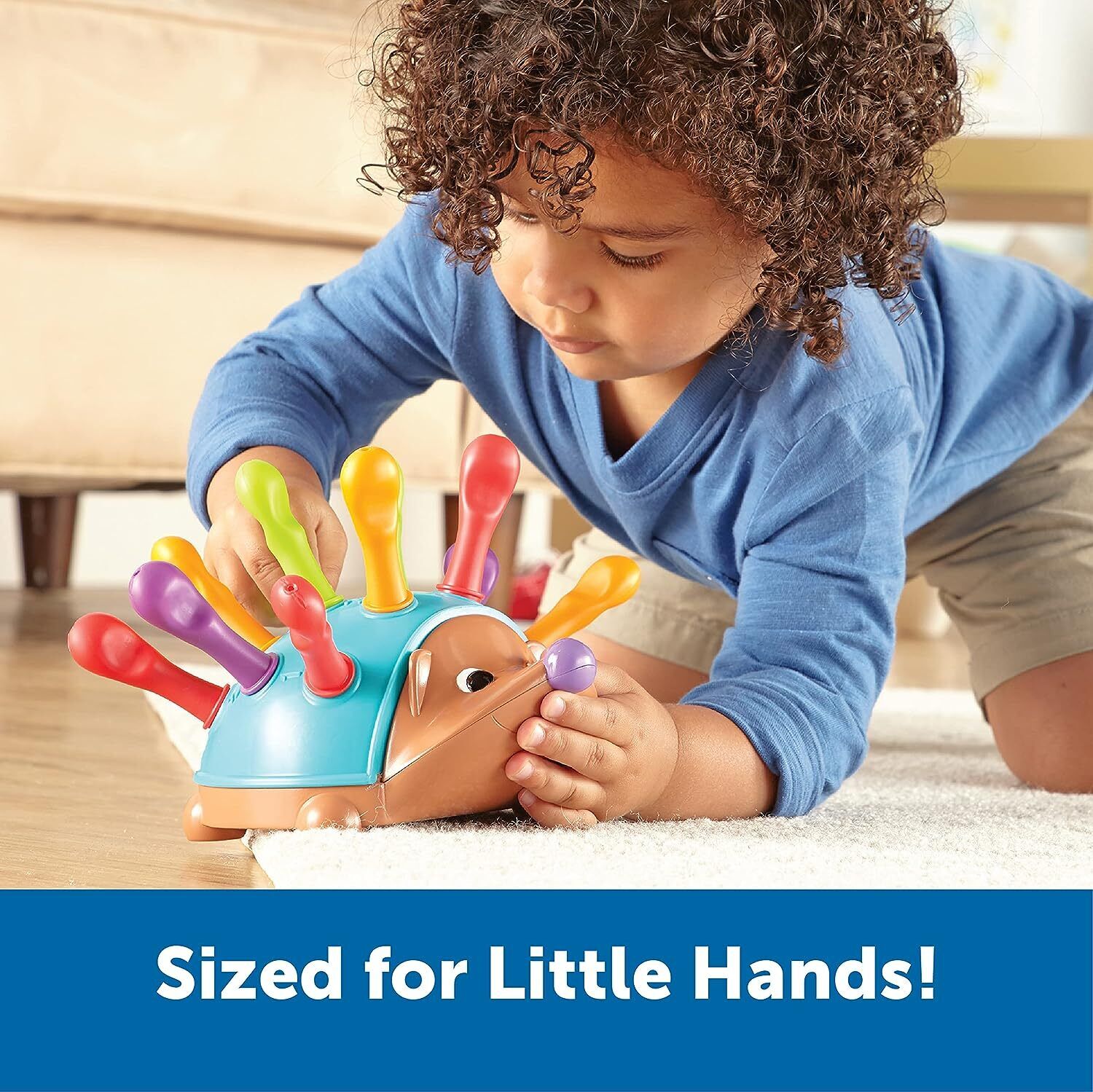 Hedgehog Educational Toy