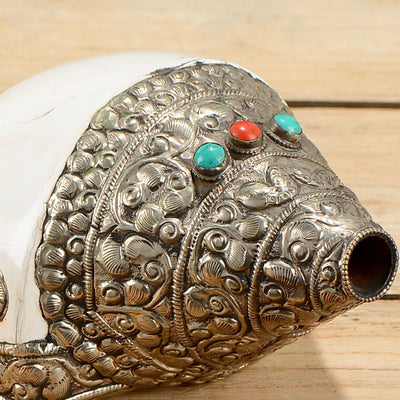 Buddha Stones Tibetan Natural Shankha Conch Shell Seashell Wealth Lucky Home Decoration Decorations BS 6