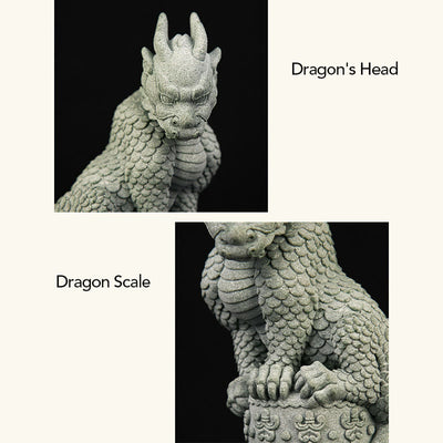 Buddha Stones Feng Shui Standing Sitting Dragon Success Luck Home Decoration Decorations BS 9