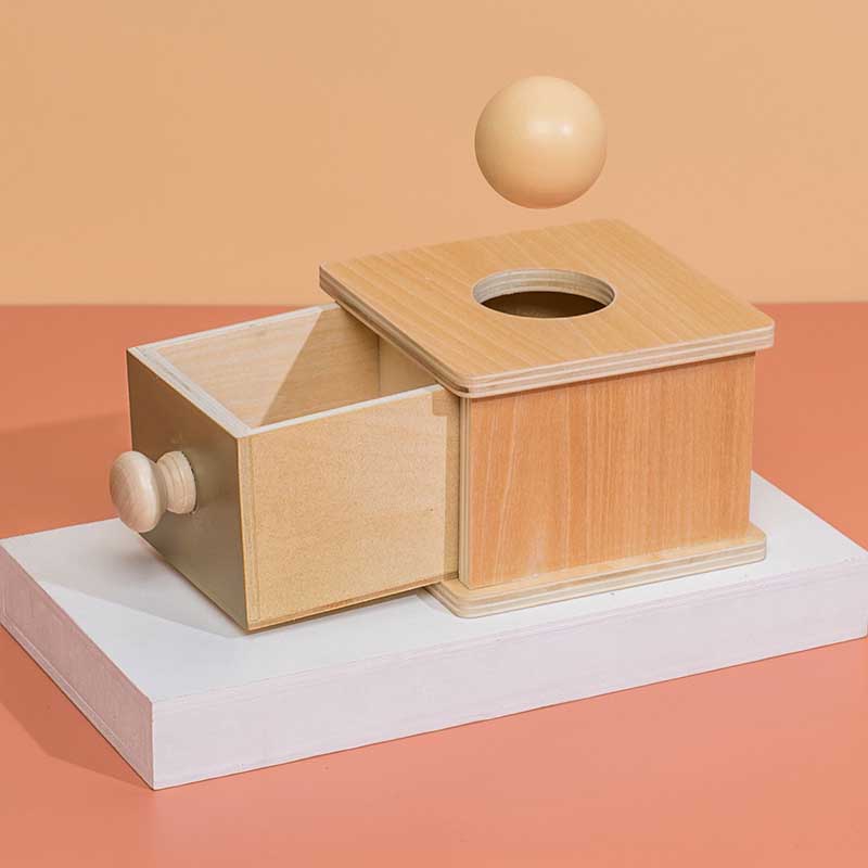 Fidtoy Boîte de Permanence d'Objet Montessori pour Tout-Petits 6-36 Mois Jouet Éducatif de Motricité Fine