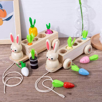 Fidtoy Animal Carrot Matching Montessori Toy | Toddler Fine Motor & Color Recognition Learning Toy