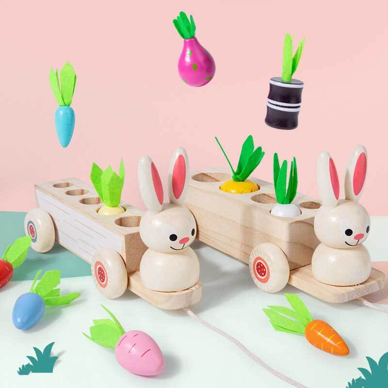 Fidtoy Animal Carrot Matching Montessori Toy | Toddler Fine Motor & Color Recognition Learning Toy