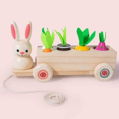 Fidtoy Animal Carrot Matching Montessori Toy | Toddler Fine Motor & Color Recognition Learning Toy