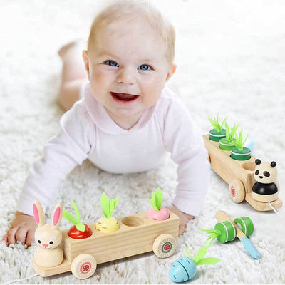 Fidtoy Animal Carrot Matching Montessori Toy | Toddler Fine Motor & Color Recognition Learning Toy
