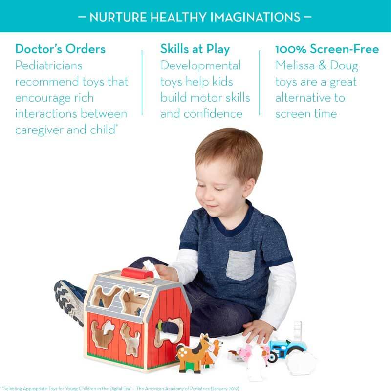 Fidtoy Jeu de tri de ferme en bois pour tout-petits Montessori