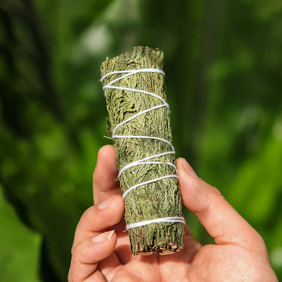 Buddha Stones Cedar Smudge Stick for Home Cleansing Incense Meditation and Rituals Cedar Sticks Incense Wands Incense BS 1 Stick (10.5cm/Stick)