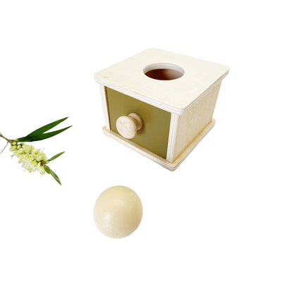 Montessori Drawer and Ball / Coins and Drawer Object Permanence Box