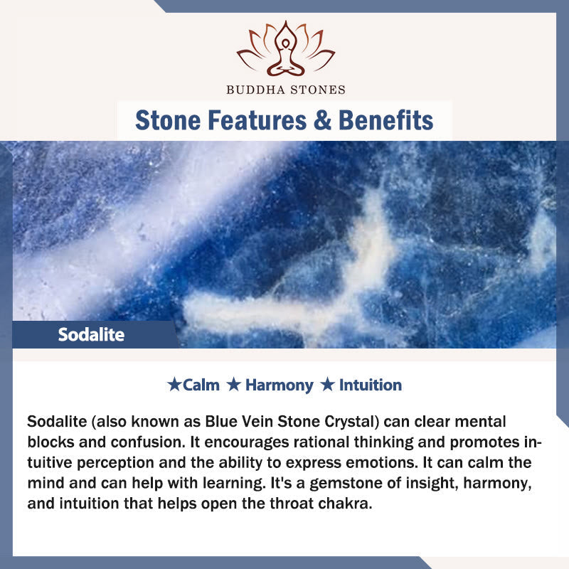 Foviel Sodalite Harmony Bracelet