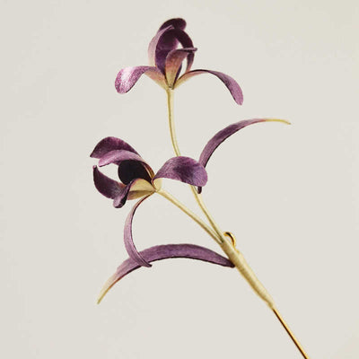 Foviel Handgefertigt Velvet Blume Mulberry Seide Orchidee Blume Brosche