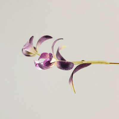 Foviel Handgefertigt Velvet Blume Mulberry Seide Orchidee Blume Brosche