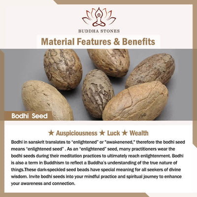 Buddha Stones Natural Bodhi Seed Fu Character Cat Paw Design Luck Bracelet - image 6